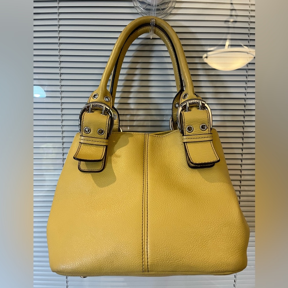 Tignanello purse